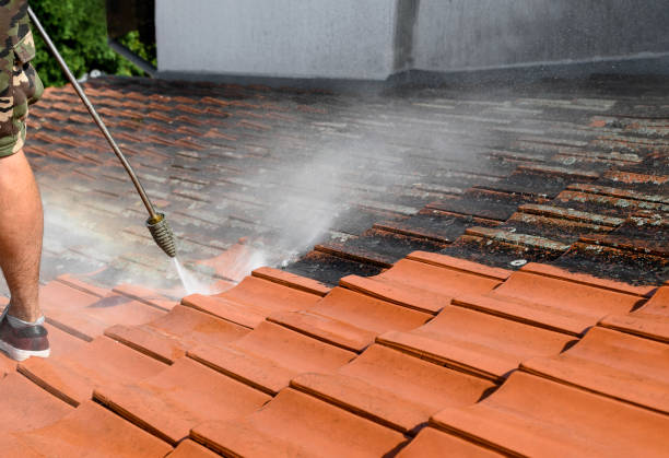 Best Local Pressure Washing Services  in Centerport, NY